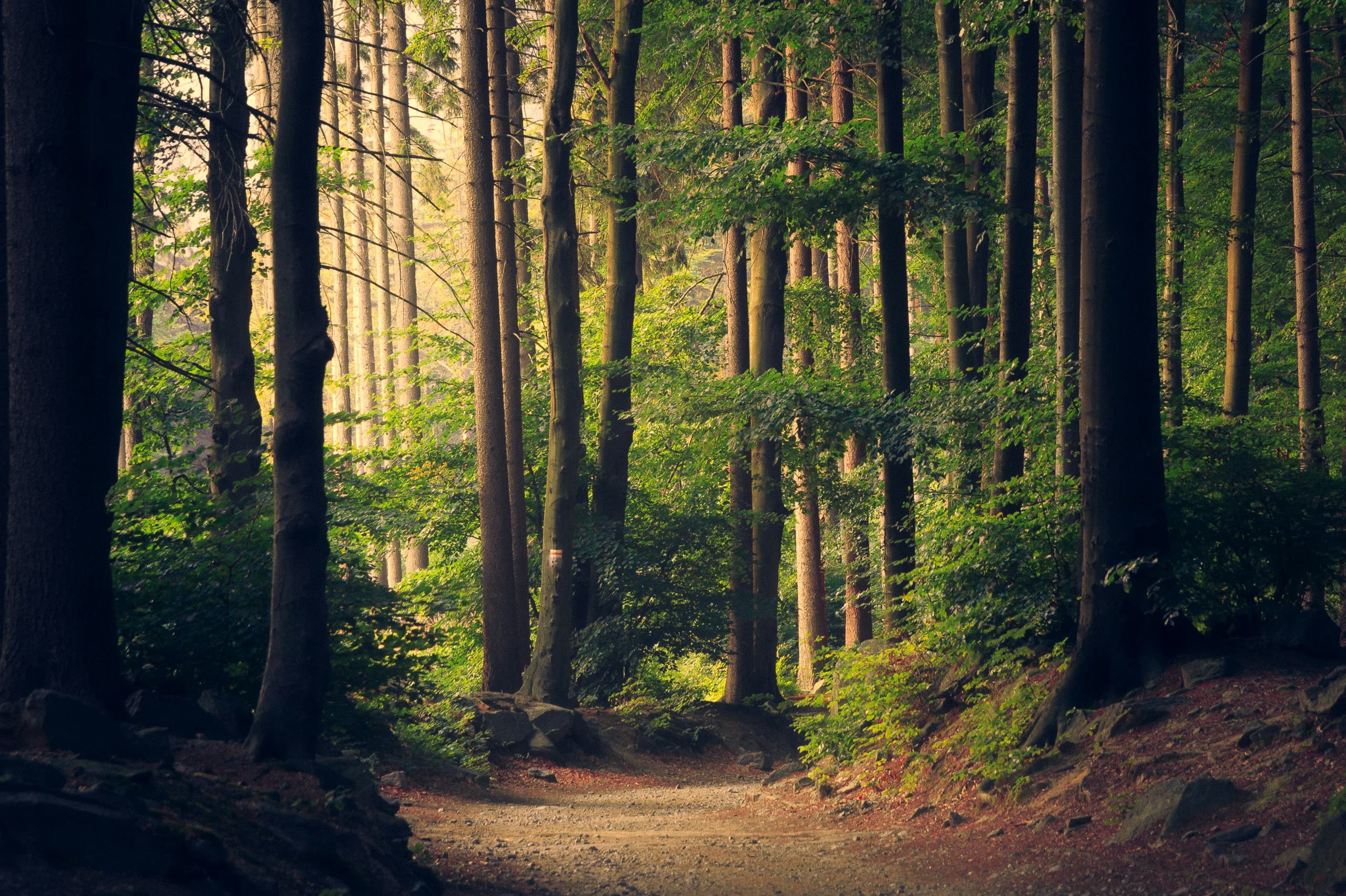 Nature travel inspiration